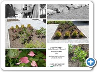 Markus Gammals Slommerud